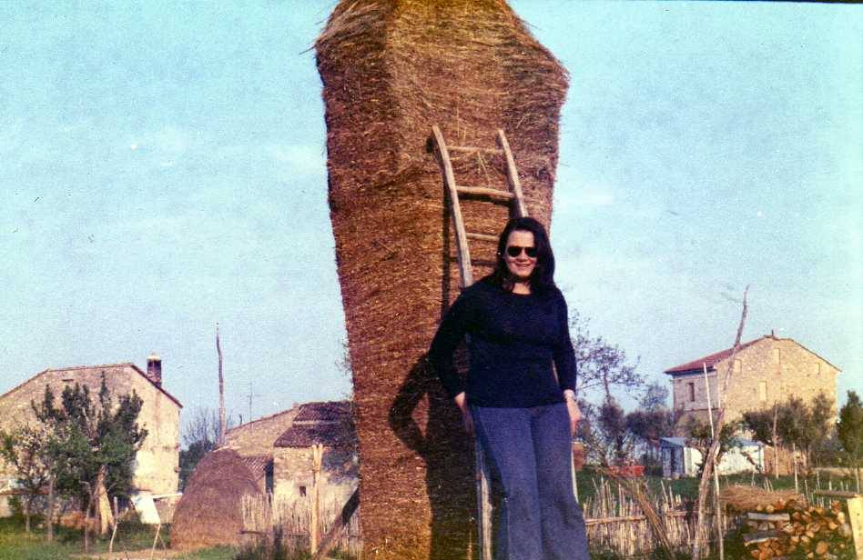 mucchio del fieno con il taglio verticale